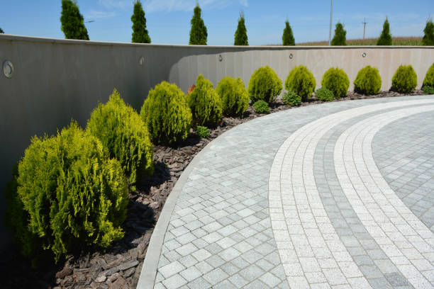 Best Decorative Driveway Pavers  in Clifton, NJ